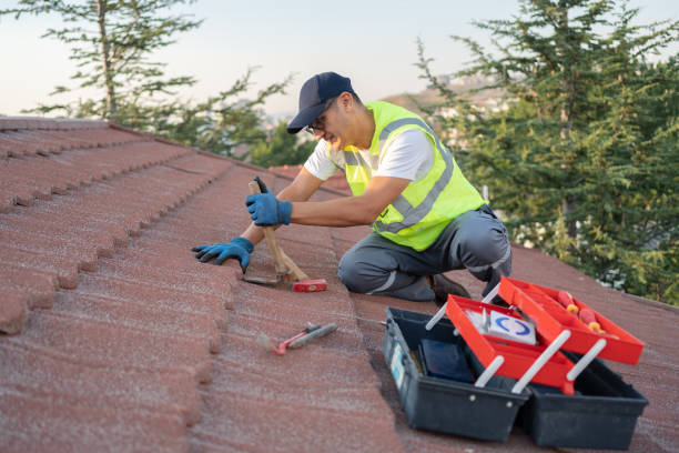 Best Residential Roofing Contractor  in St Joseph, IL
