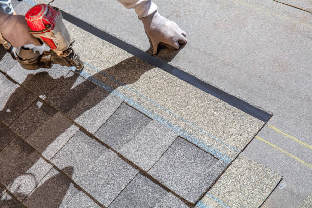 Best Residential Roofing Contractor  in St Joseph, IL