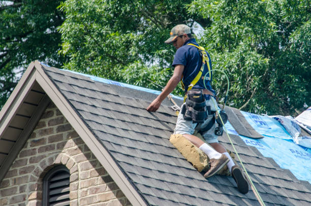 Best Best Roofing Contractors  in St Joseph, IL